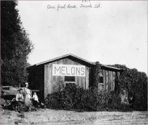 Tsuneishis in Duarte